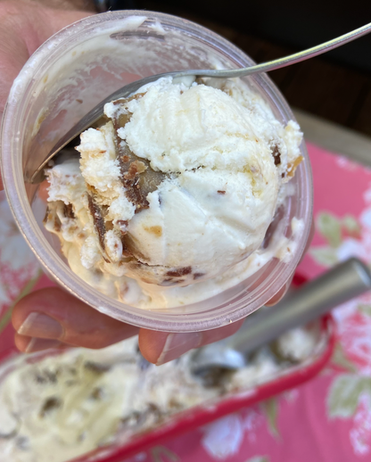 Ice Cream Mix - NUT BUTTER CUP - 1g net carb