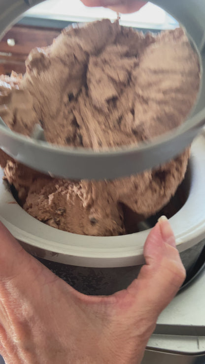 Ice Cream Mix - MOCHA CHIP - 3g net carbs